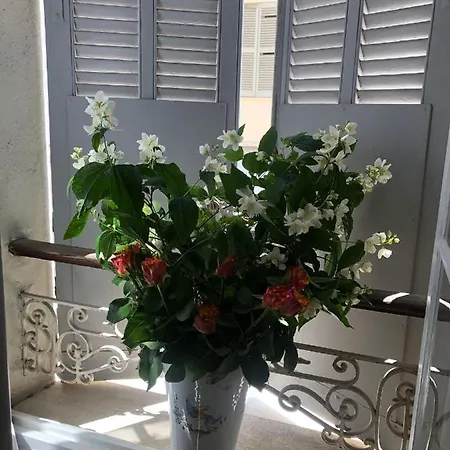 Apartman Centre Heart Of